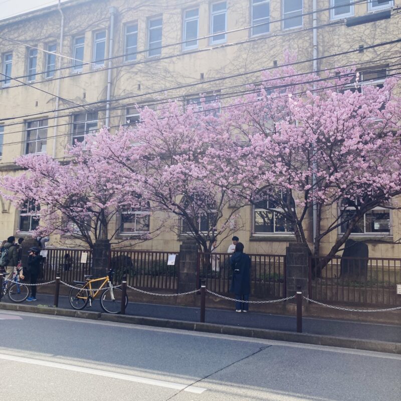 不定期にお届けする撮影に関わるお仕事のお話🎥（3月の振り返り編🎎）