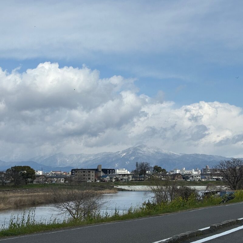 3月の雪⛄