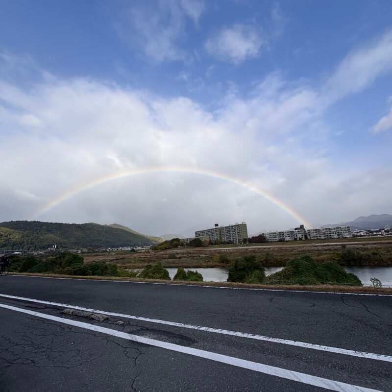 11月の大きな虹🌈